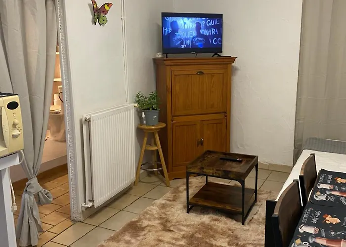 Miracles Parking Gratuit Apartamento Aigues-Mortes